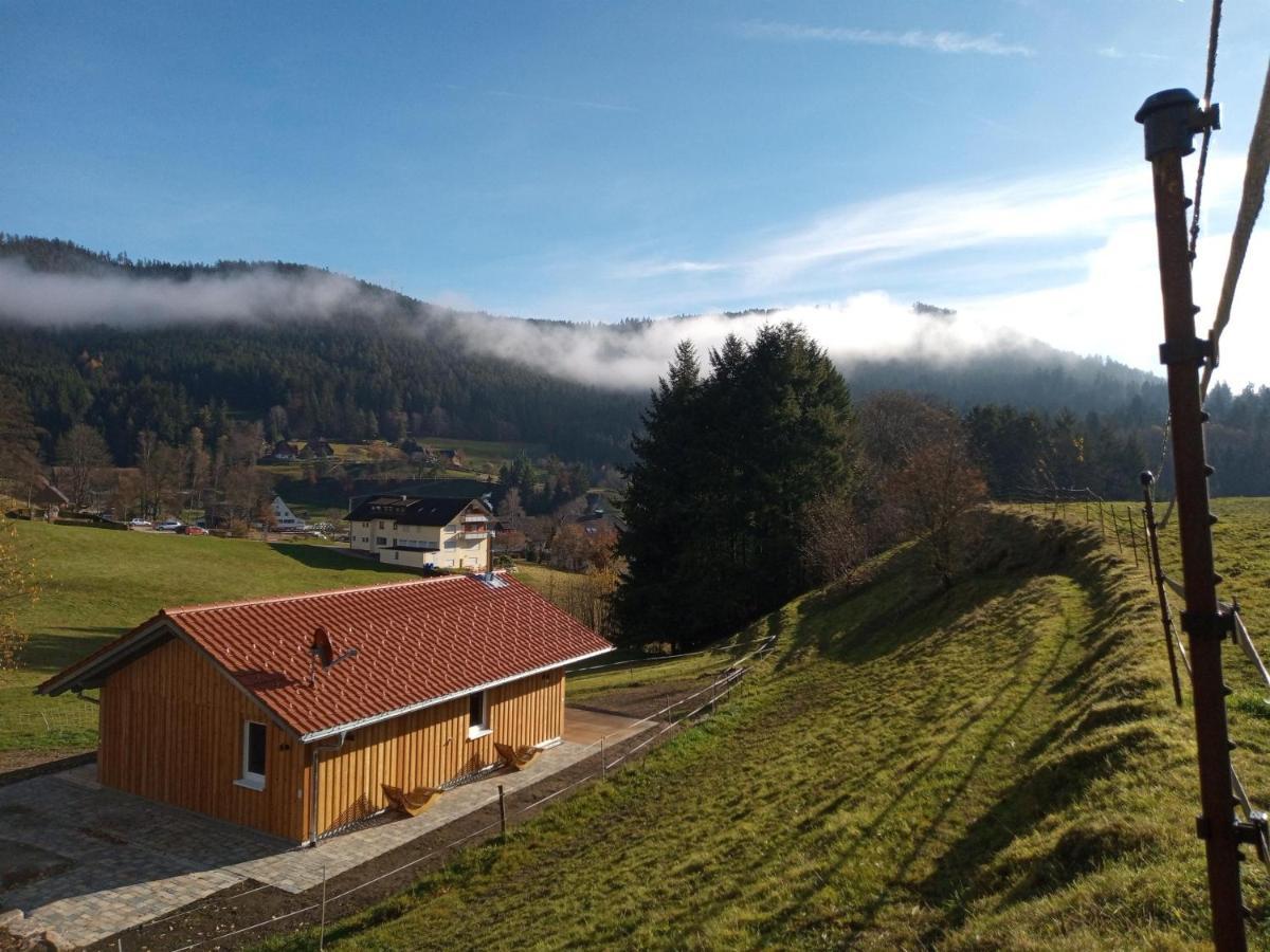 Вилла S'Heimatgfuehl Schwarzenberg  Экстерьер фото